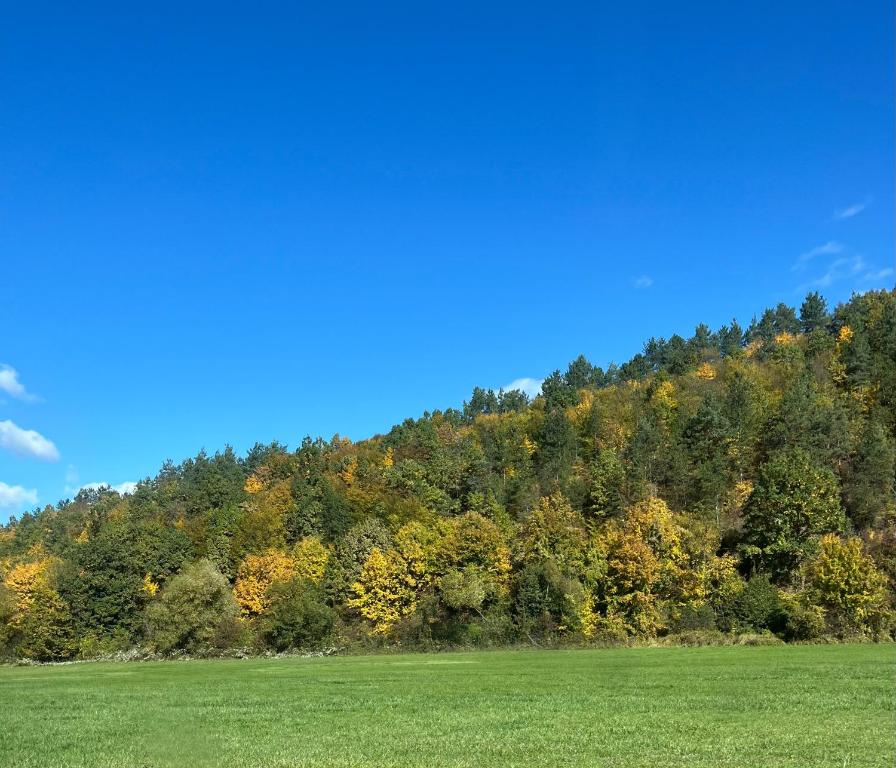 Gallery image of Whispering Pines in Lunca de Sus