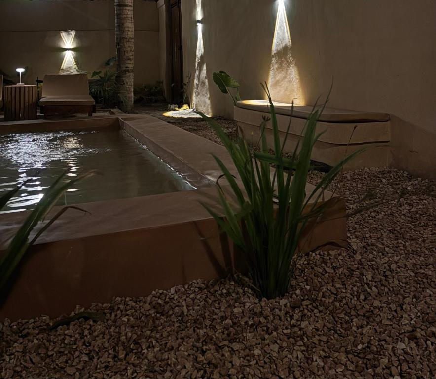 a swimming pool in a backyard at night at Kasuku Villa in Dimbuni