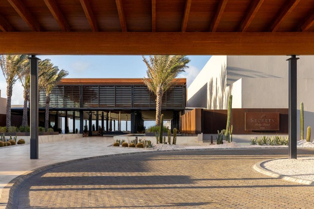 Snorkel en la bahía y vida marina