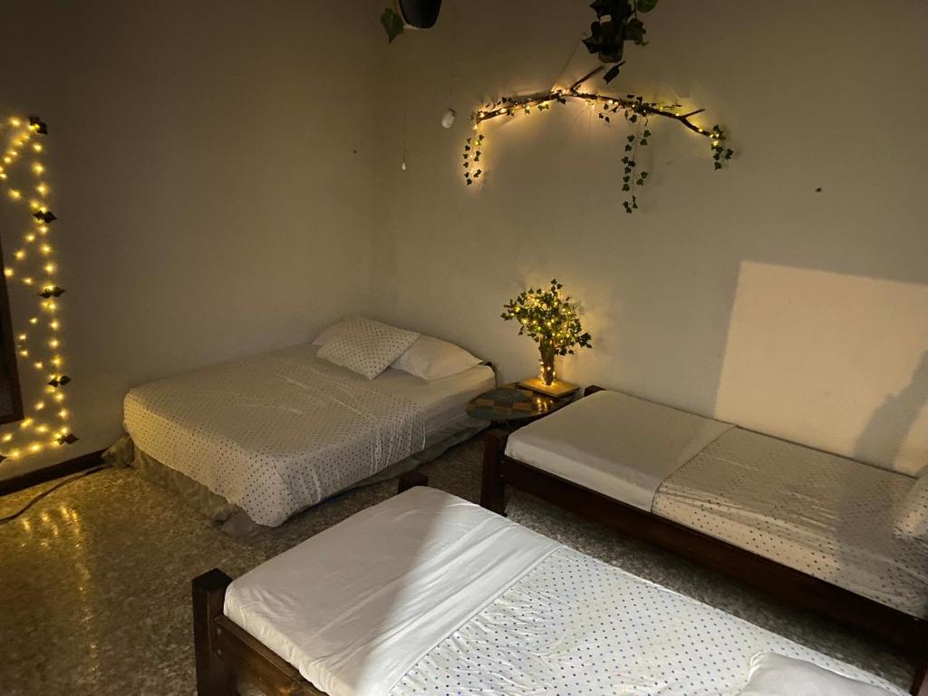 Casa Todah B&B - Comfort Vierpersoonskamer