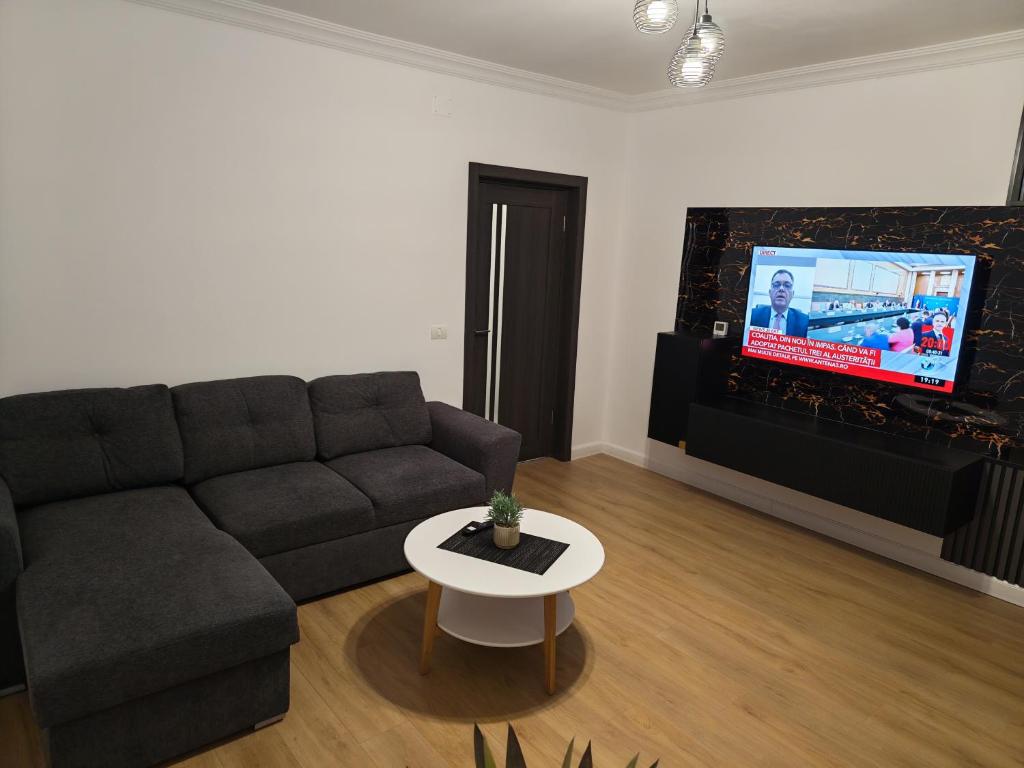 a living room with a couch and a tv at Terra Ștrand Residence Ștei in Ştei