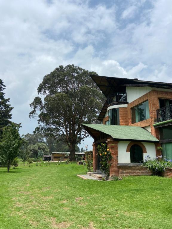 a brick building with a tree in the background at Centro Holístico Kinam in Amecameca de Juárez