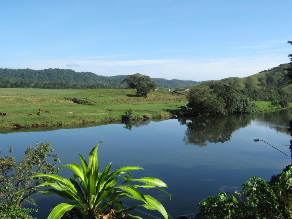 a view of a river with cows in a field at Daintree Riverview Lodges in Daintree
