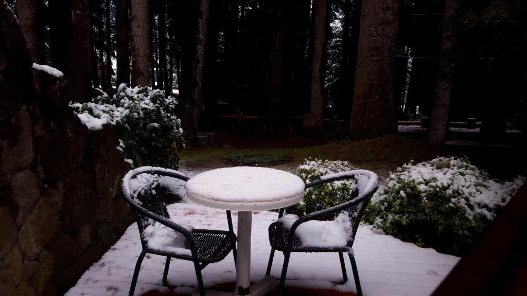 Photo de la galerie de l'établissement Casa Del Bosque Aparts, à Villa La Angostura