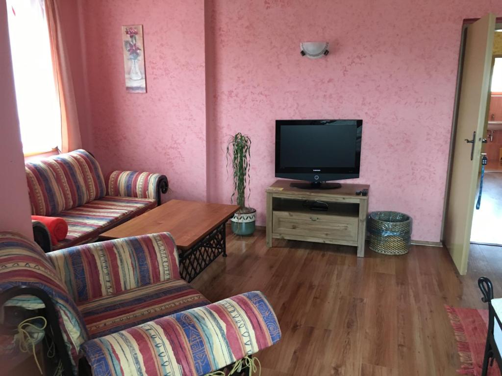 TV a/nebo společenská místnost v ubytování Apartmány PEMI Potštejn