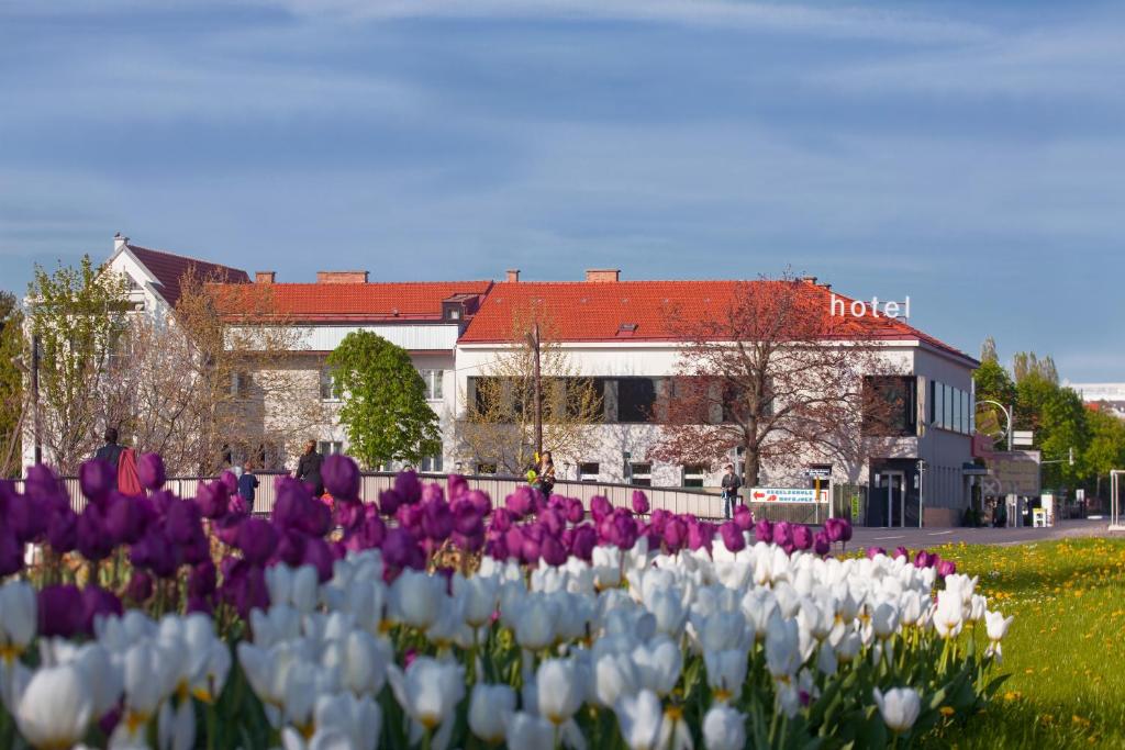 Zahrada ubytování Strandhotel Alte Donau