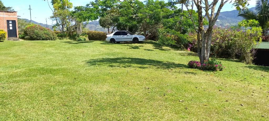 a white car parked in a yard next to a tree at Casa de Campo Bheta in Guatapé