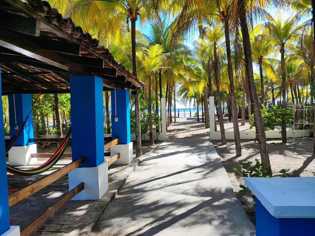 un camino con palmeras en la playa en Rancho Mayayi Beach house, en San Miguel