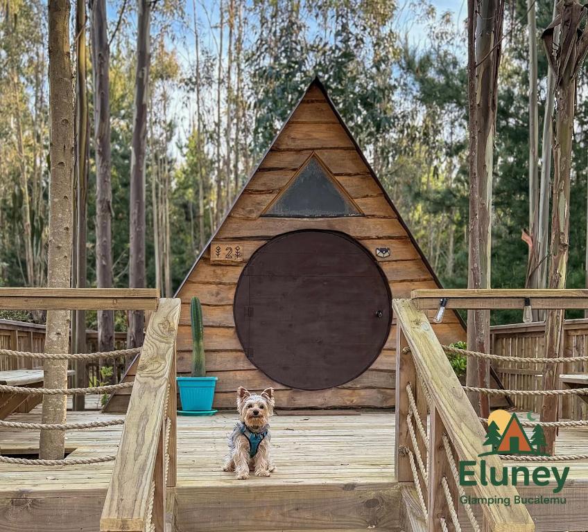 a small dog sitting on a wooden platform in a dog house at Glamping Eluney Bucalemu in Paredones