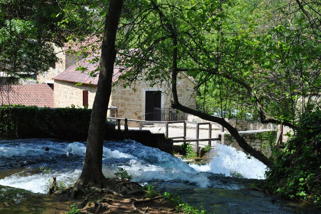 Príroda v okolí hotela