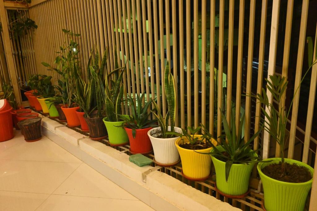 a row of potted plants sitting on a shelf at Hotel Shankara Inn in Ayodhya