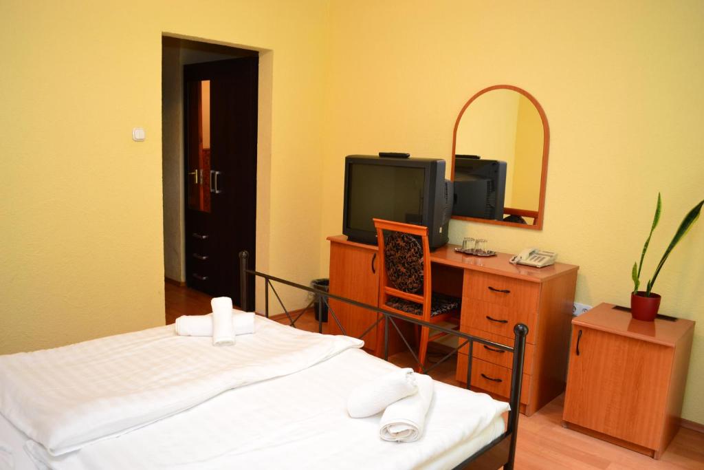 sypialnia z łóżkiem, telewizorem i lustrem w obiekcie Ezüstfenyő Hotel w mieście Telkibánya