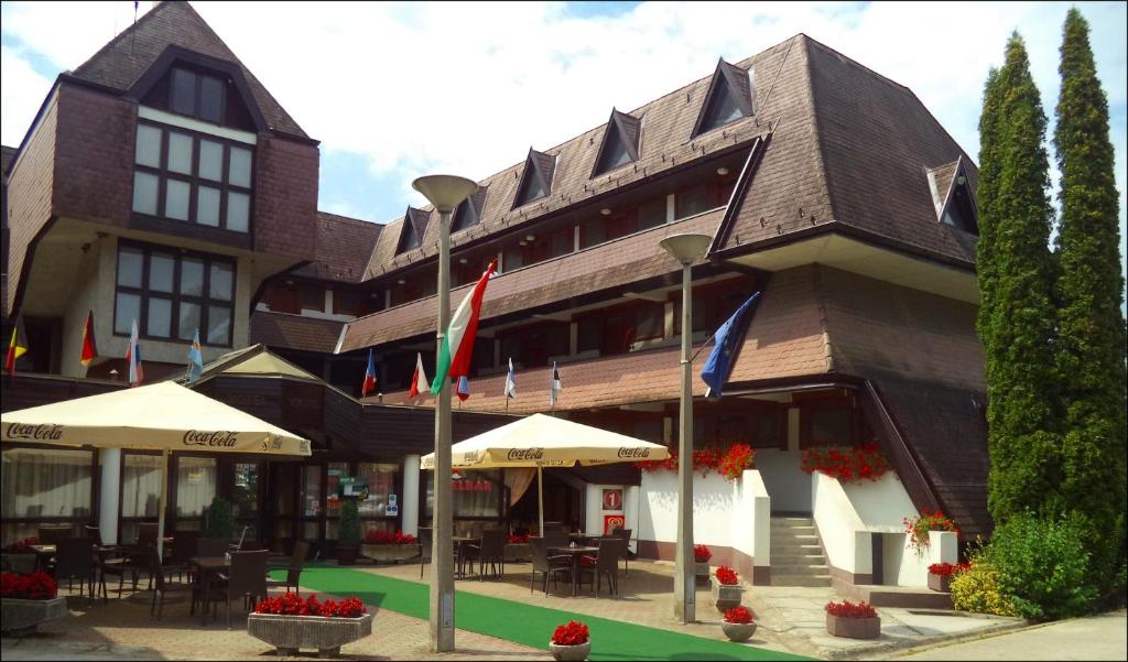 a building with flags in front of it at Viking Hotel in Gárdony