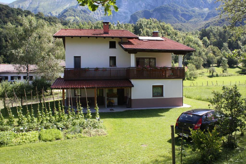 Příroda nedaleko apartmánu