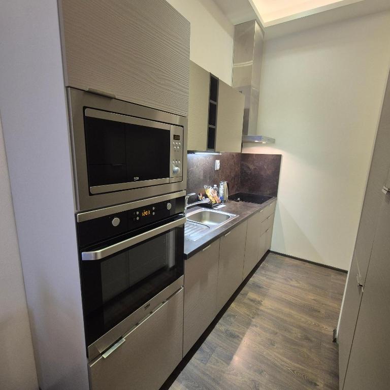 Residence Mariánská - Resim 12