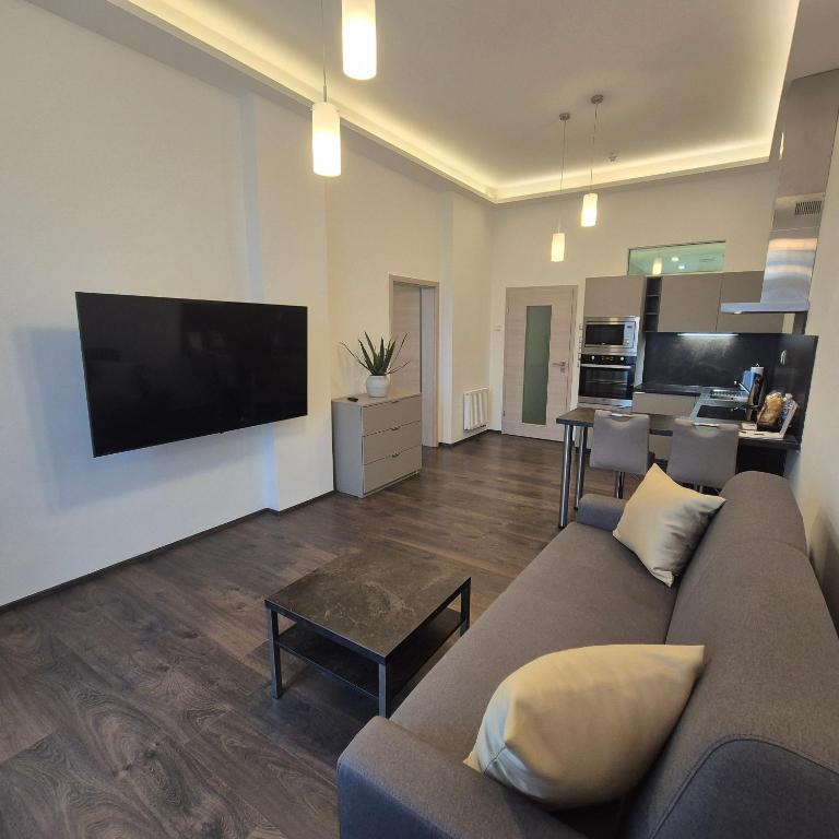 Residence Mariánská - Resim 15