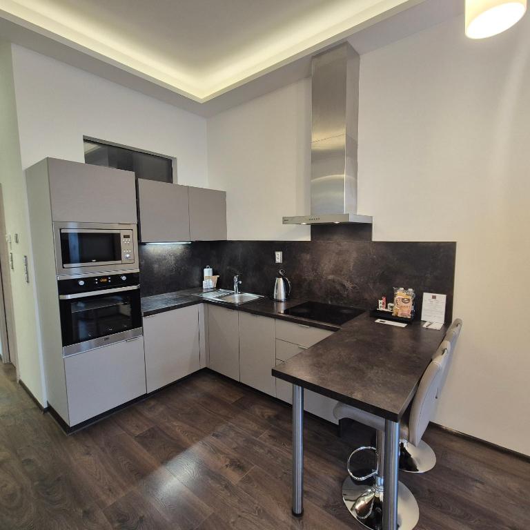 Residence Mariánská - Resim 6