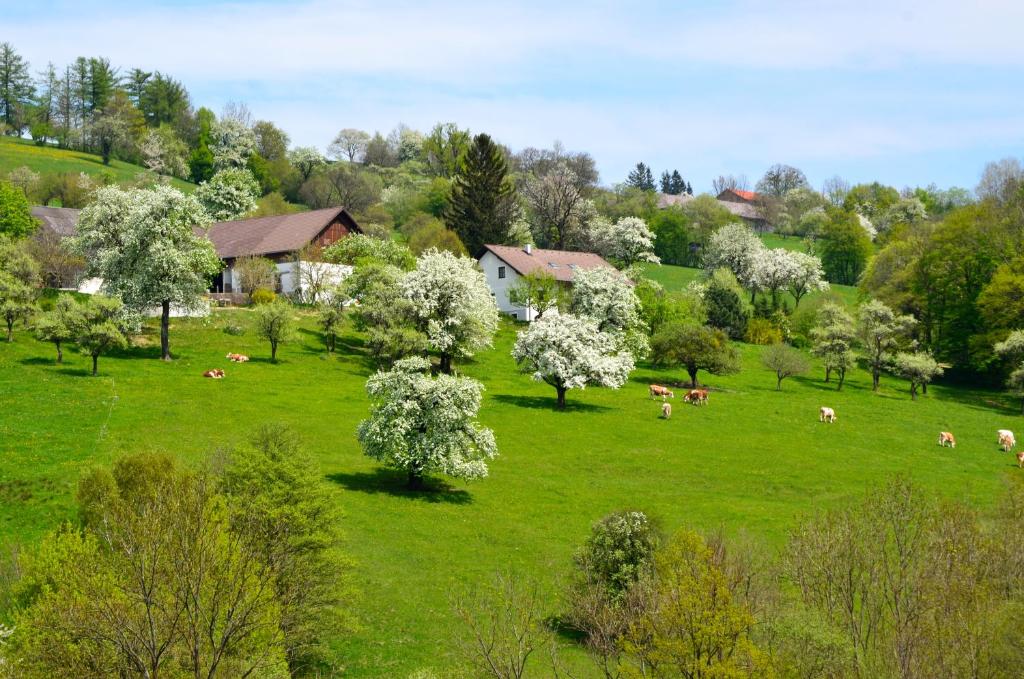 un troupeau de vaches herbivores dans un champ arboré dans l'établissement Ferienwohnung Vonwald, à Michelbach