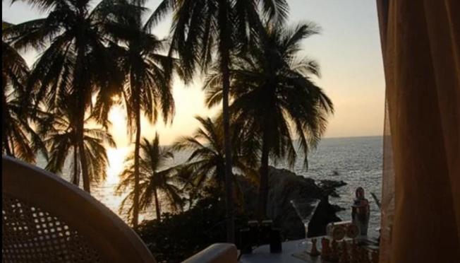 Una vista de una playa con palmeras y el océano. en Cocos Camp, en Acapulco