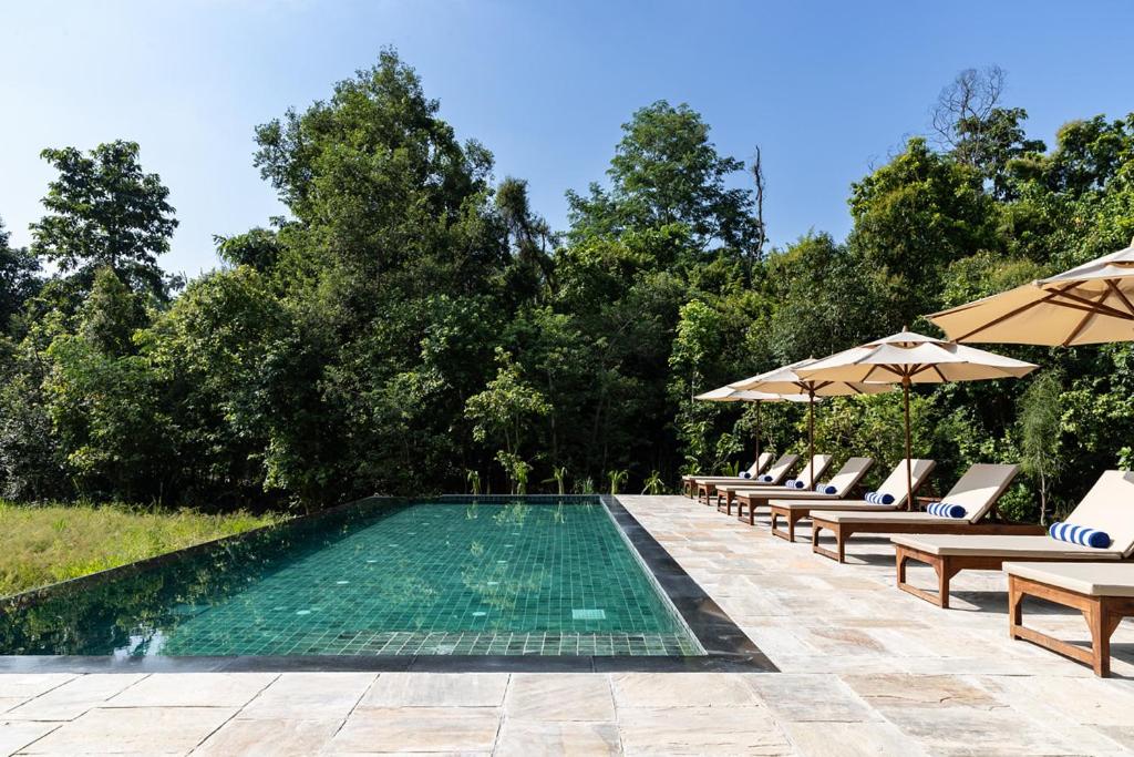 une piscine avec chaises longues et parasols dans l'établissement Tiger Tops Karnali Lodge, à Bardiyā
