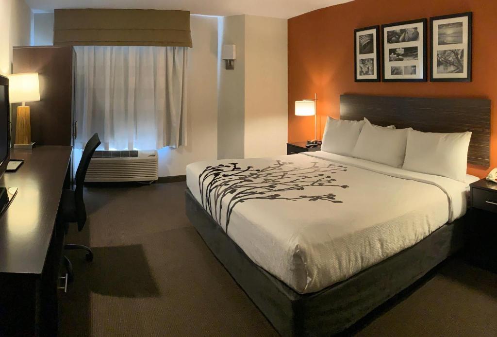 Sleep Inn Phoenix North I-17 - Standard King Room - Non-Smoking
