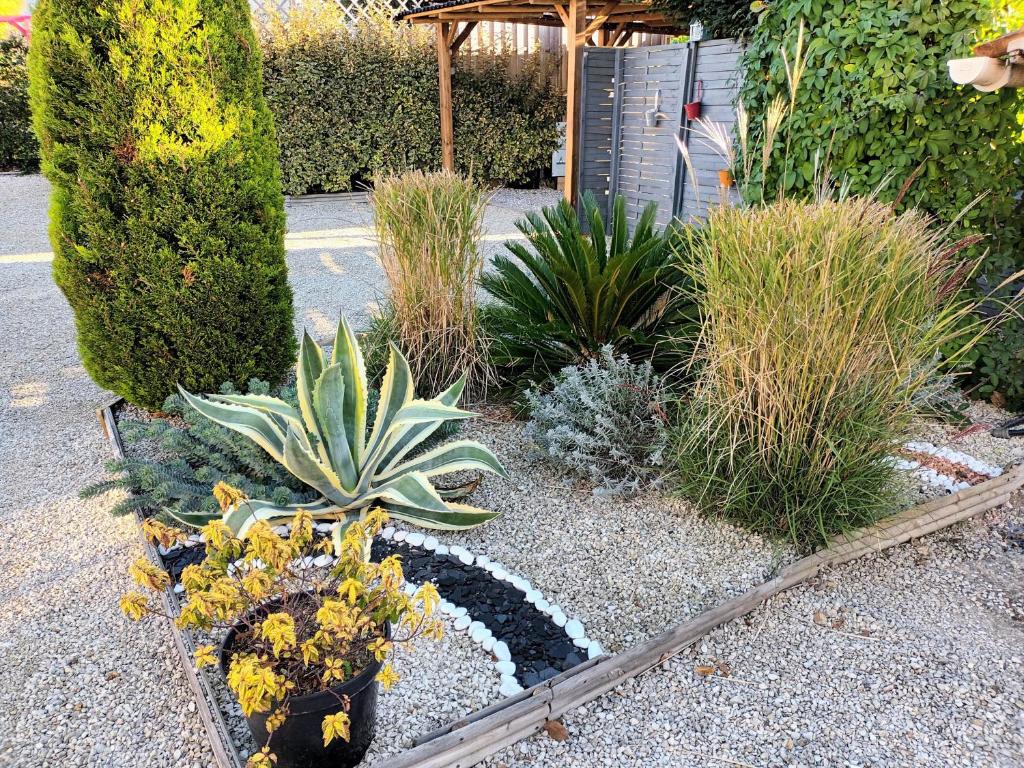 Le Clos des Passiflores - Chambres et Table d'Hôtes - 7