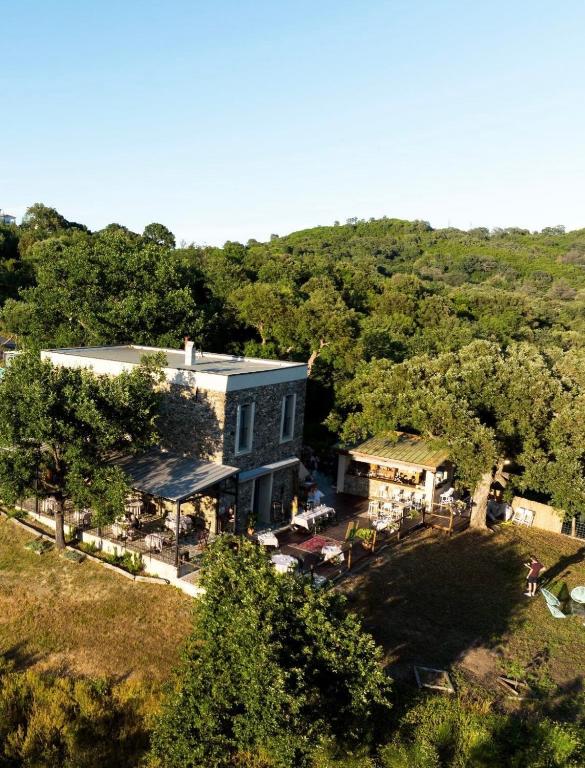an aerial view of a blue building with trees at Demeure de charme, appartement du Campu di l altru mondu in San-Giuliano