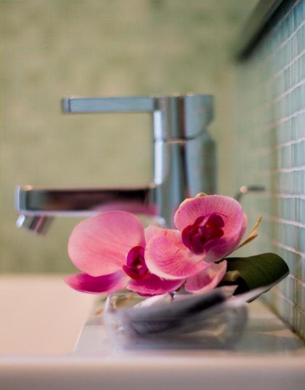 Hotel Siena - Resim 3