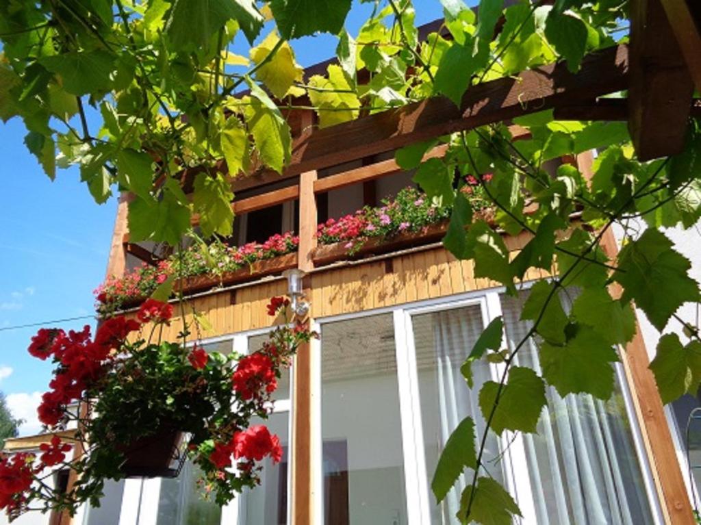 Zahrada ubytování Gasthaus Helena
