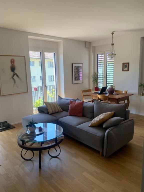 Beautiful Apartment in Central Zurich