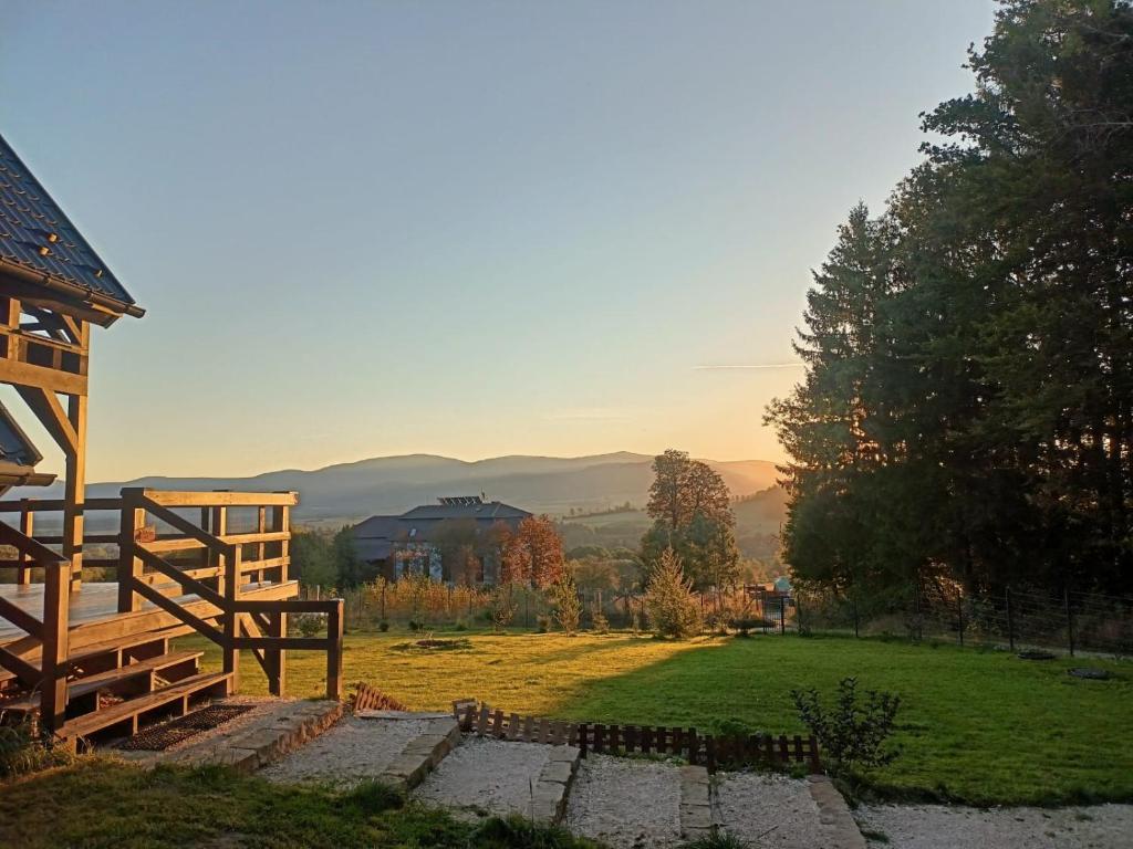 a view of a yard with a wooden house at Domek w górach Łubinowa 6 in Międzylesie