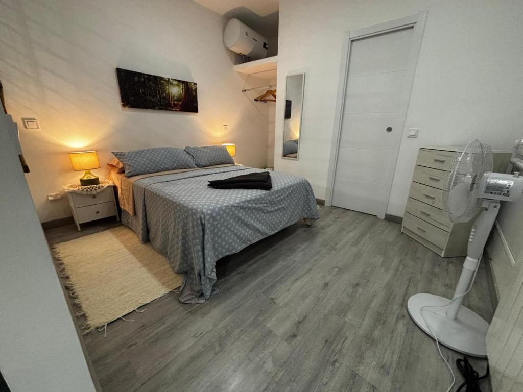 a bedroom with a bed and a desk and a chair at Apartamento estudio con baño privado en el centro de Madrid in Madrid