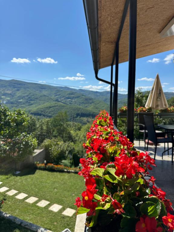 a garden with red flowers and a table and chairs at Apartman Milanović in Pribojska Banja