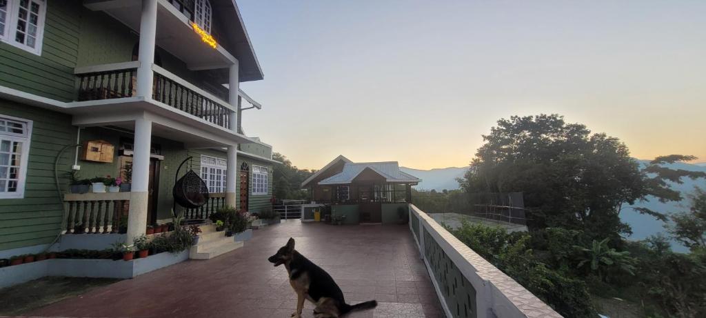 a dog sitting on a walkway next to a building at Ringkingpong homestay in Kalimpong