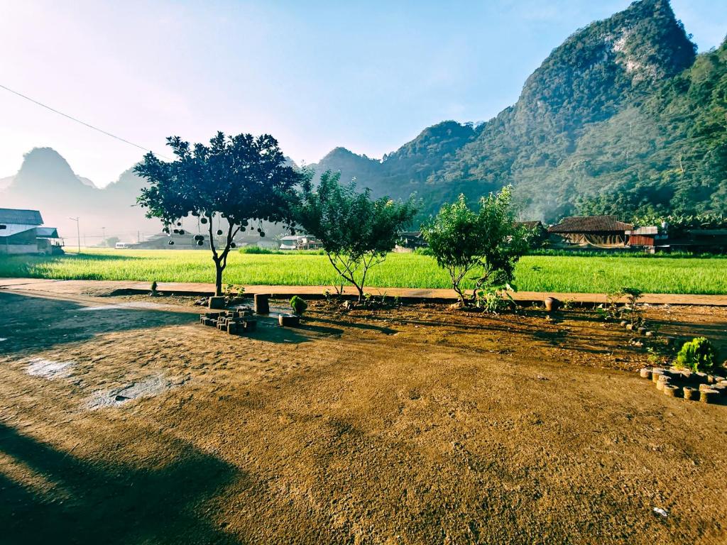 a park with trees and a field and mountains at Nùng An homestay in Quảng Uyên