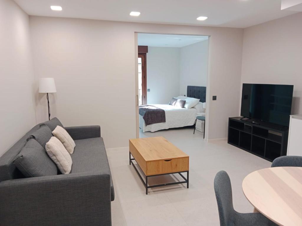 サラマンカにあるApartamentos Living Librerosのソファとベッドのあるリビングルーム