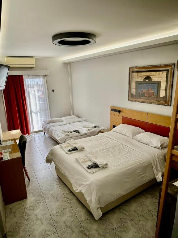 Hotel Erika - Resim 4