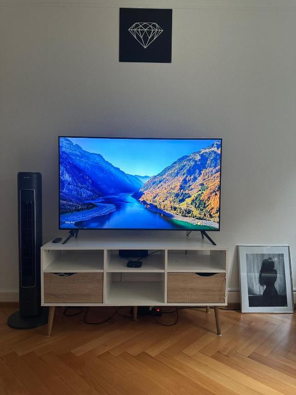 Renovated Apartment - Lausanne