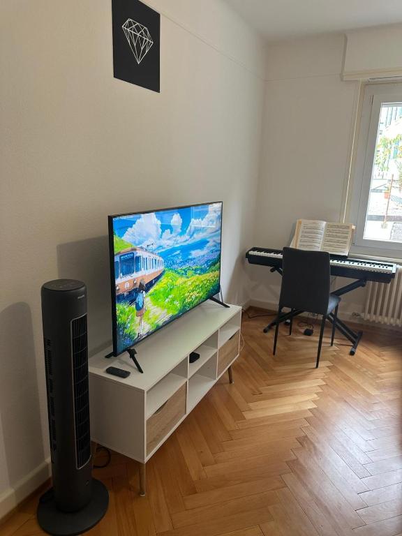 Renovated Apartment - Lausanne - Resim 10