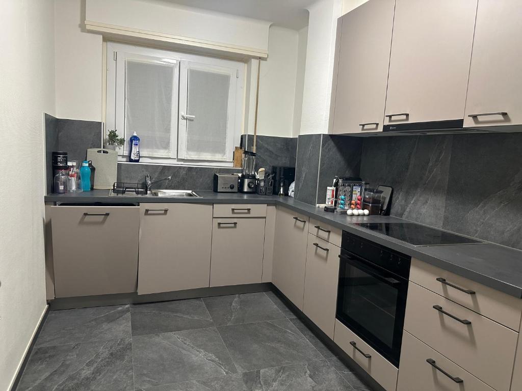 Renovated Apartment - Lausanne - Resim 11