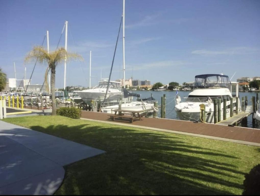 a marina with boats parked in the water at Waterfront 2 Queens Free Parking in Clearwater Beach