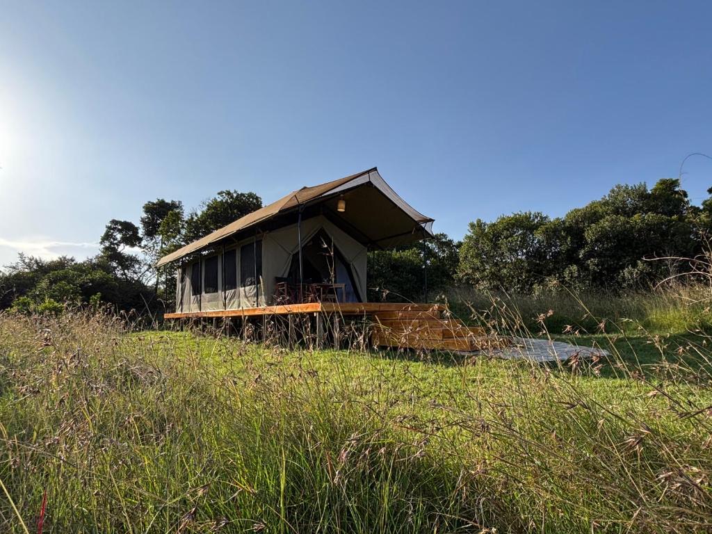 Příroda nedaleko luxury tent