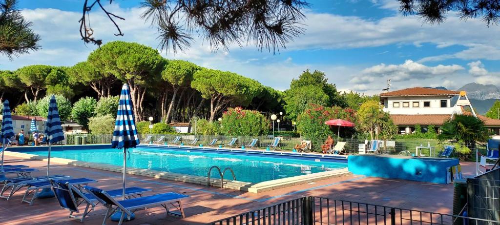 a pool with chairs and umbrellas in a resort at Sarzana- Mobilhome 5 persone Pool and Garden in Sarzana