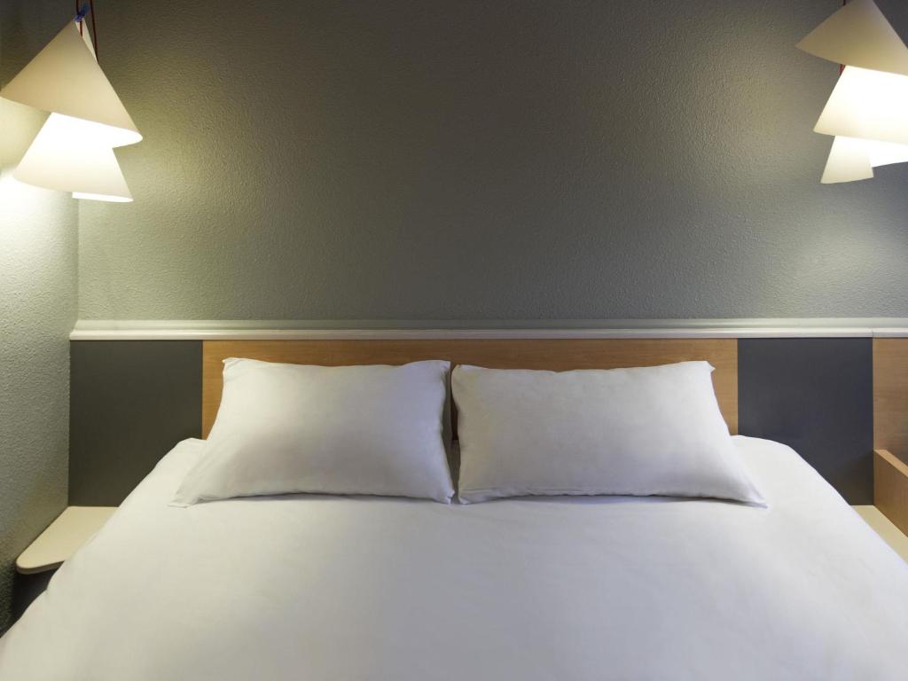 ibis Lyon Gerland Musée des Confluences - Resim 9