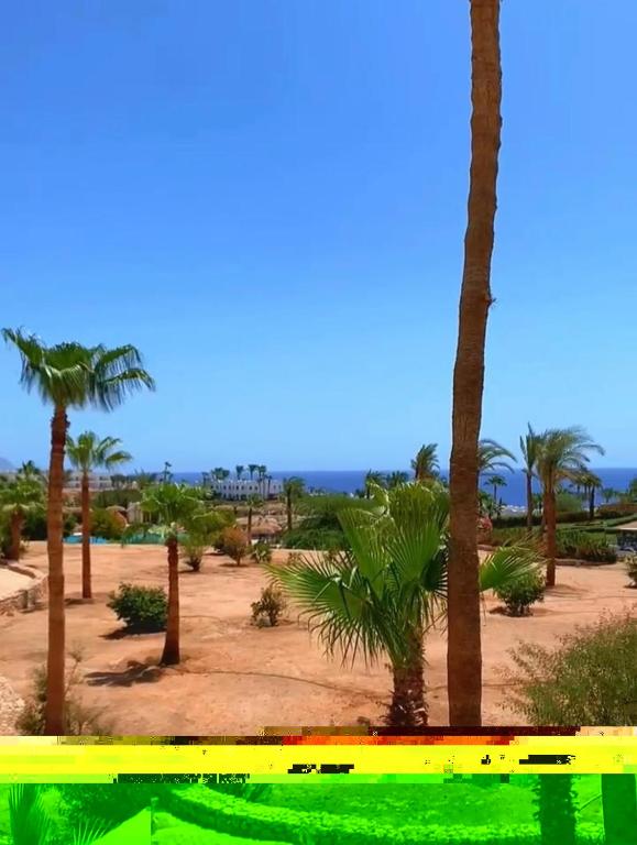 Blick auf einen Park mit Palmen und das Meer in der Unterkunft Ad un passo dalle stelle 56 domina coral bay in Sharm El Sheikh