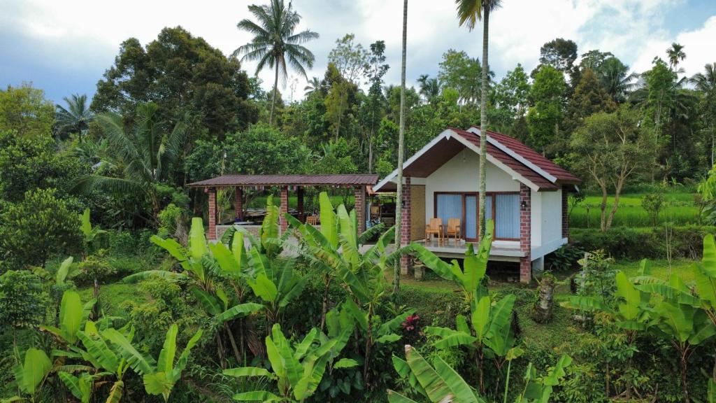 a small house in the middle of a field at Organic Rice Harmony in Tetebatu