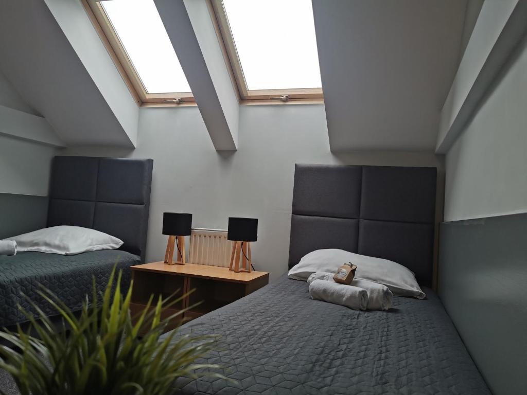 Gościniec nad Olzą - 8