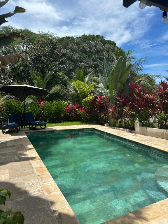 a large swimming pool in a yard with trees at Tropical Oasis in Ojochal in Ojochal