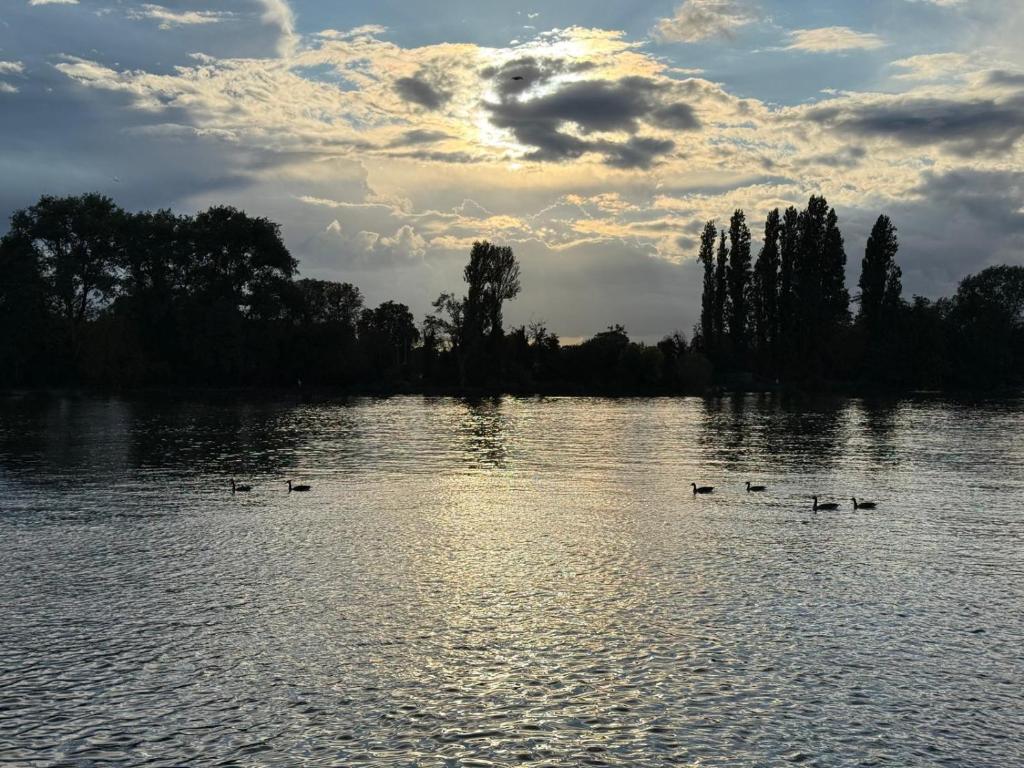 Fulham Pier Hotel - Resim 26