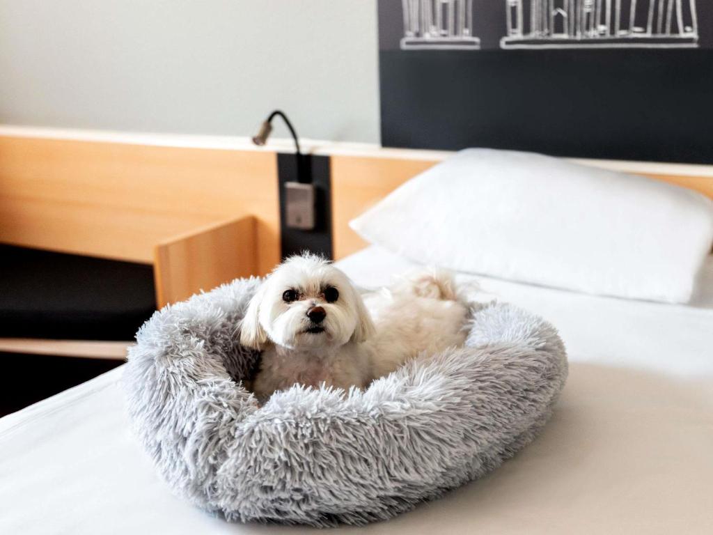 Ibis Poznan Stare Miasto - Resim 6